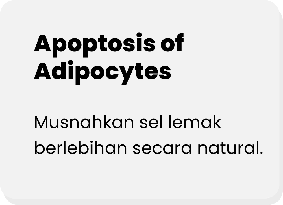 Musnahkan-sel-lemak-berlebihan