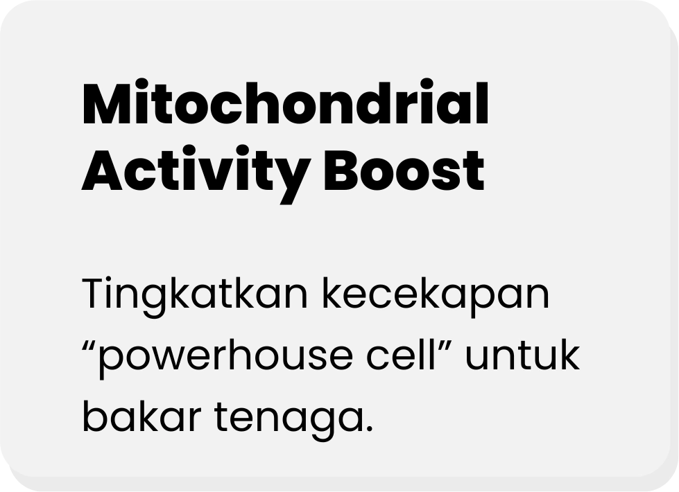 Tingkatkan-kecekapan-untuk-bakar-tenaga