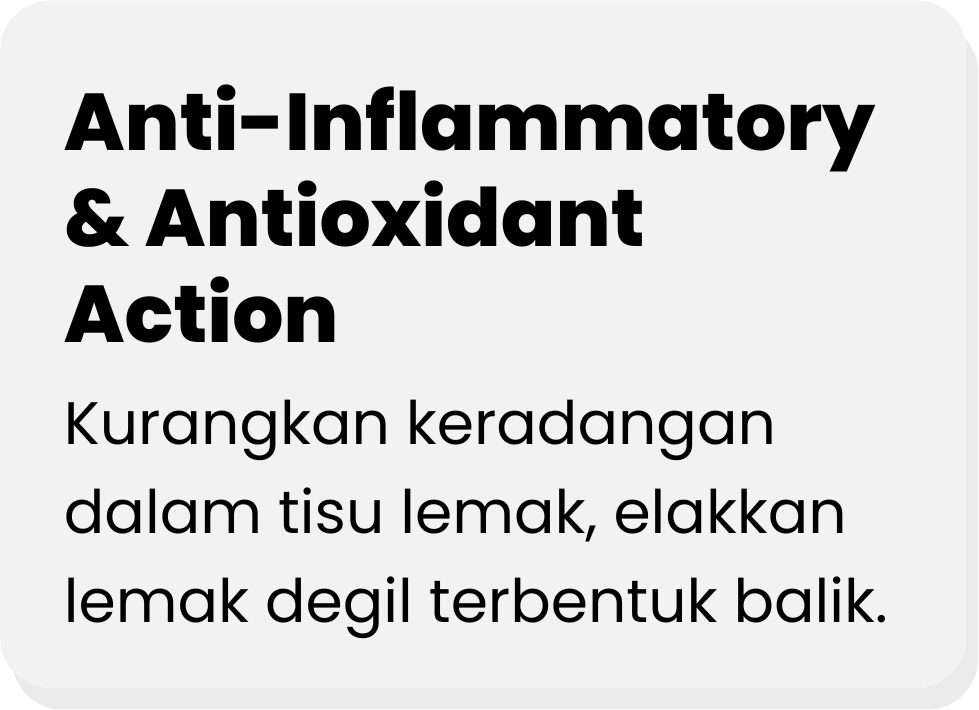 Elak-lemak-degil-muncul-balik
