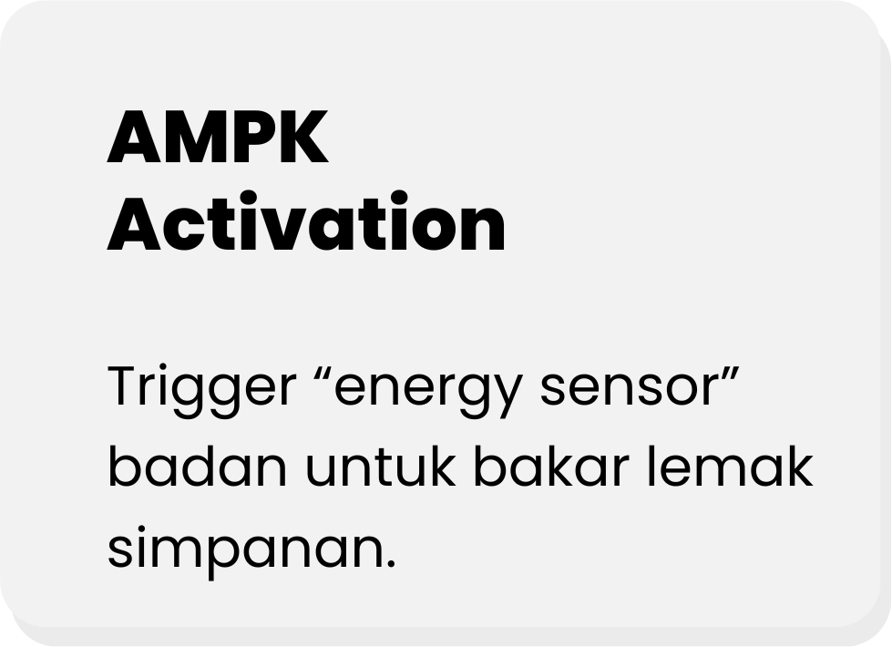 Aktifkan-AMPK-untuk-bakar-lemak