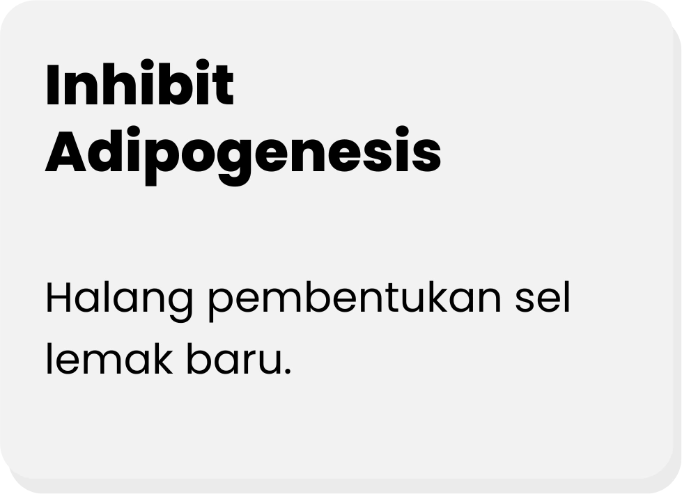Halang-pembentukan-sel-lemak-baru