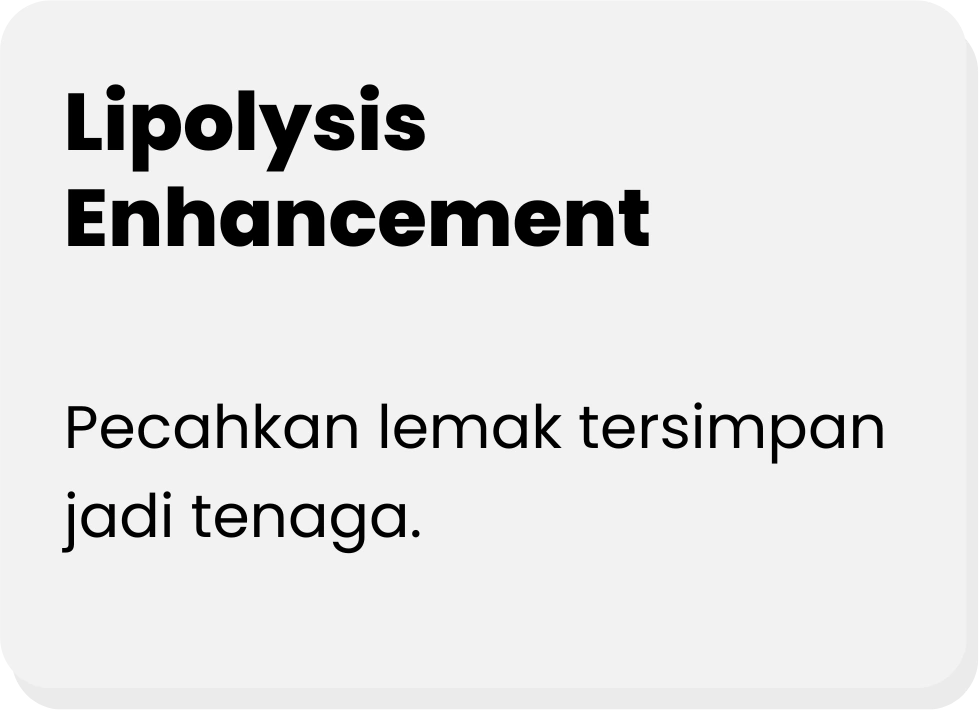 Tukar-lemak-jadi-tenaga