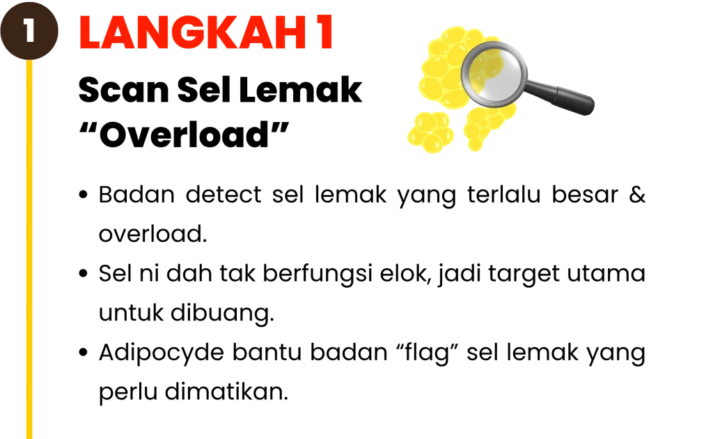 Langkah-langkah-kekal-kurus-1