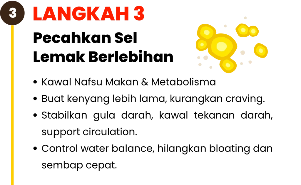 Langkah-langkah-kekal-kurus-3