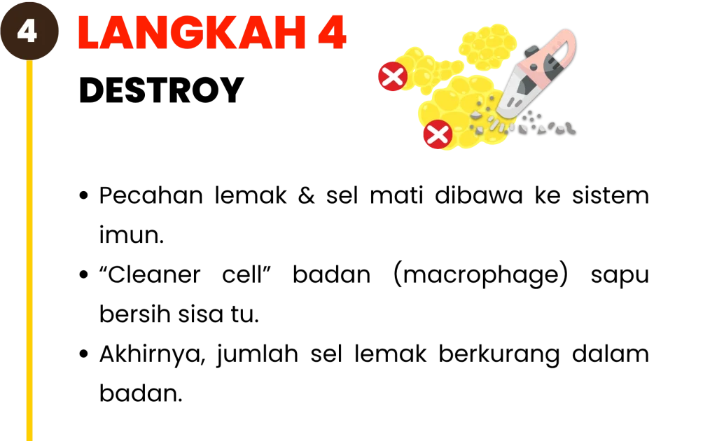 Langkah-langkah-kekal-kurus-4